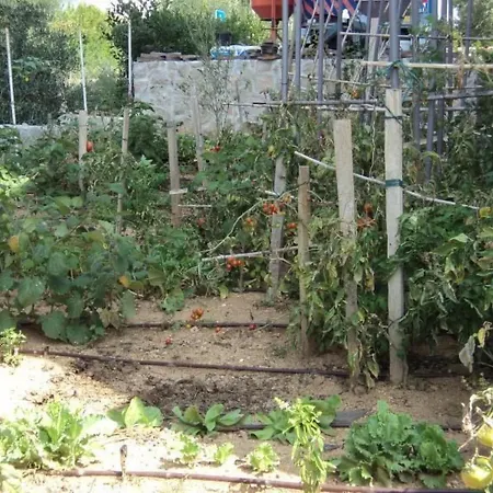 Delfini Mit Panoramablick Auf By Interhome Apartamento