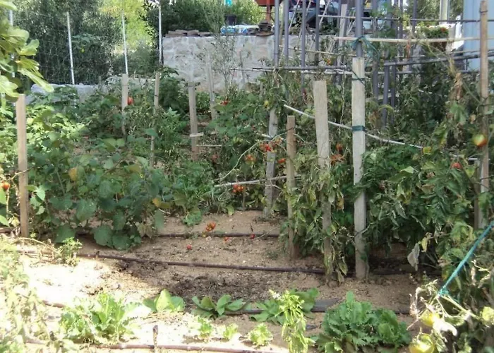 Delfini Mit Panoramablick Auf By Interhome Апартаменты